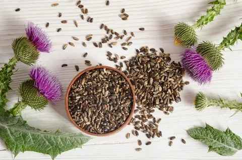 عرق خار مریم برای قناری با فرمول گیاهی و کیفیت مطلوب